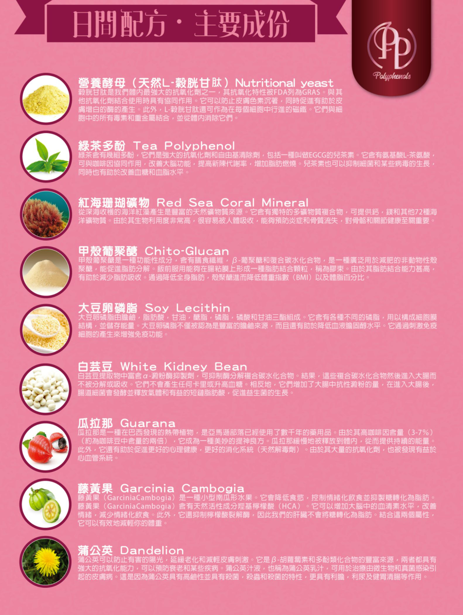 PP酵素【正品】Polyphenols  天然日夜配方-正貨