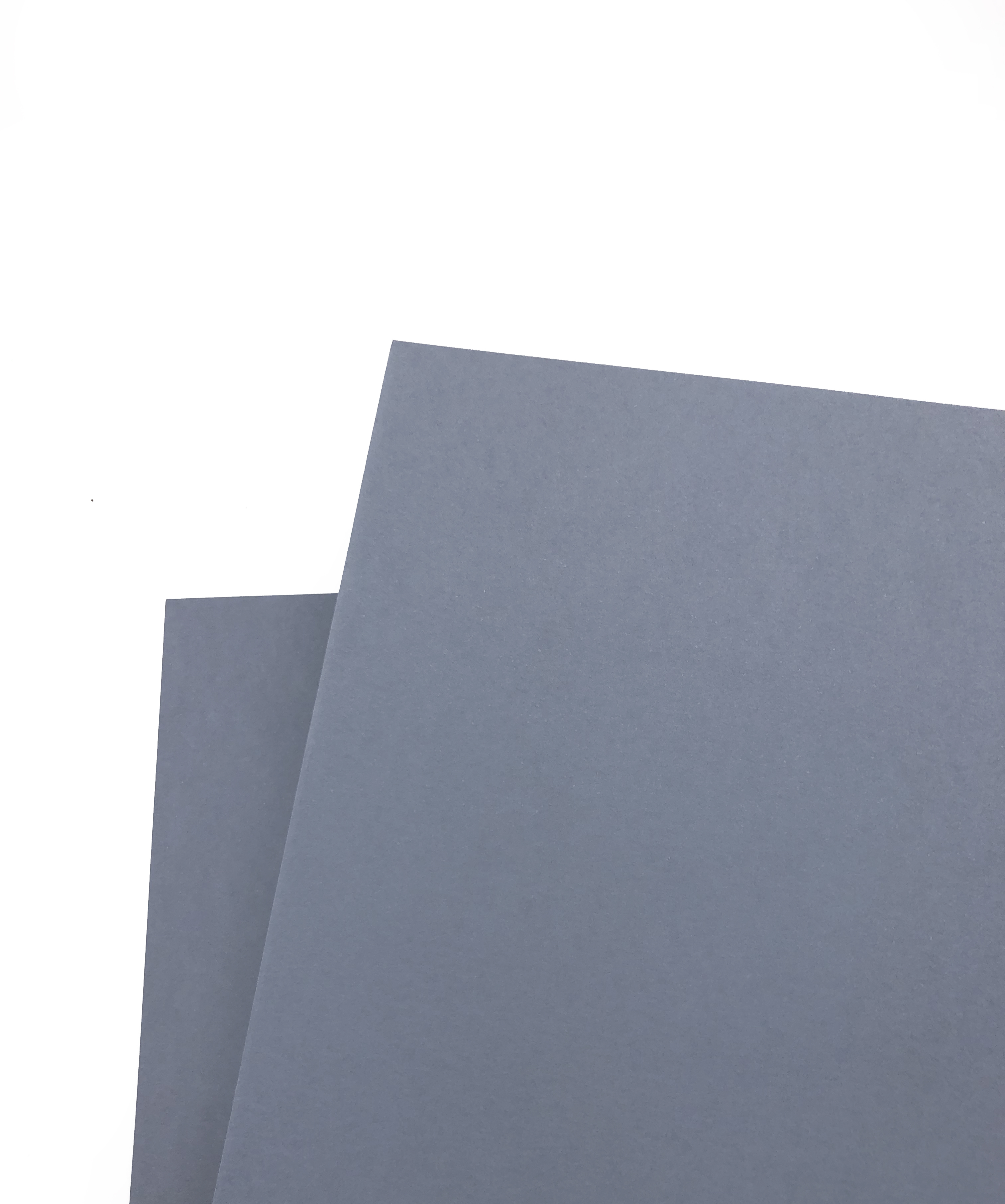 艾力獨家-【120磅】進口百分百 | 信天翁 (A4規格-8入) #T9002