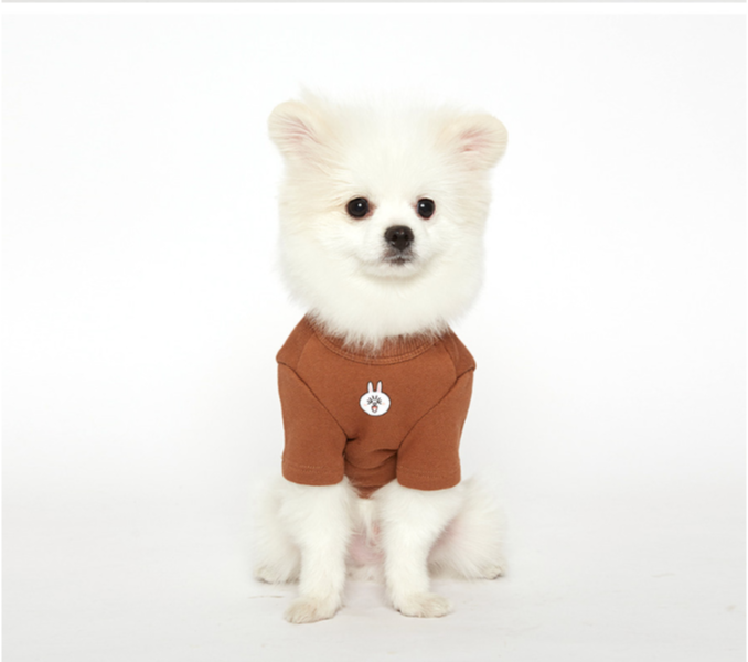 ✤ Odd Pet ✤ Line Friends 兔兔T