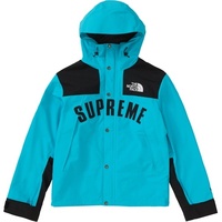 supreme the north face parka