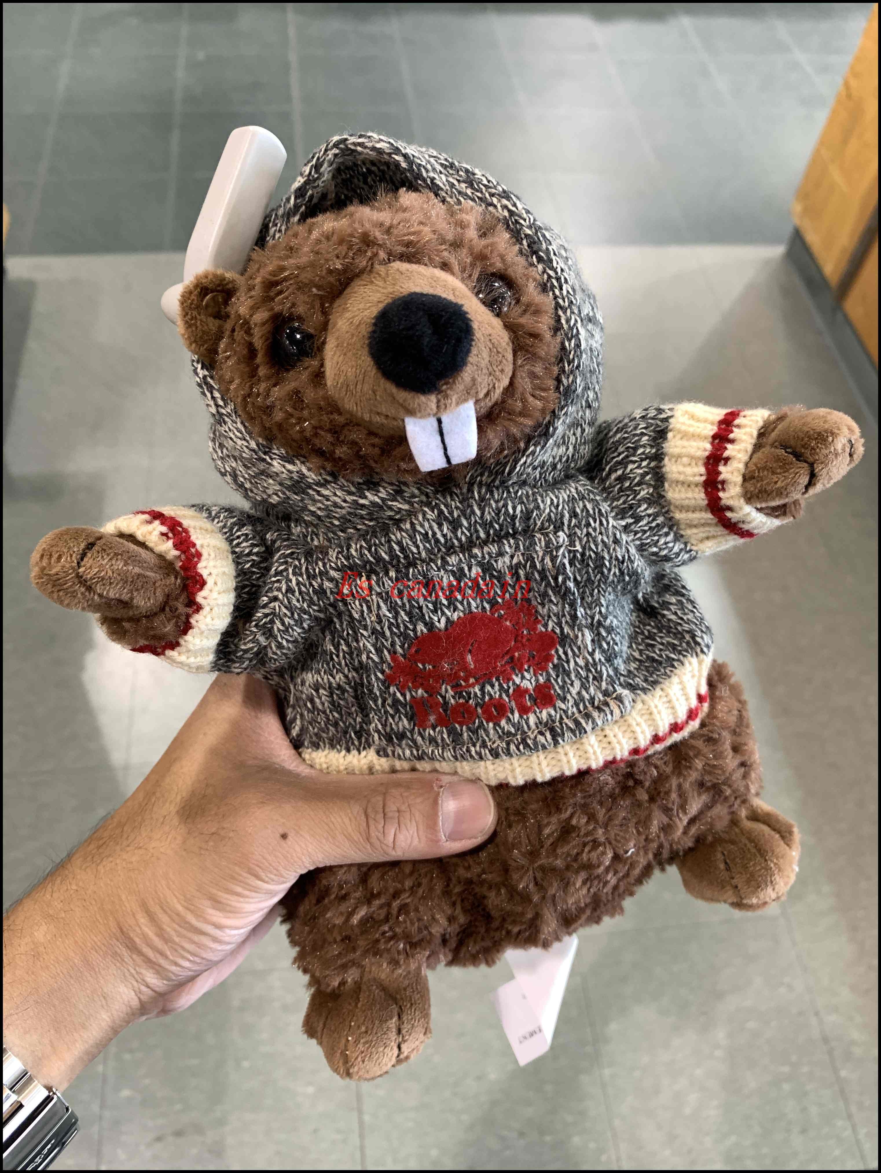 ROOTS Cabin針織毛衣 海狸寶寶