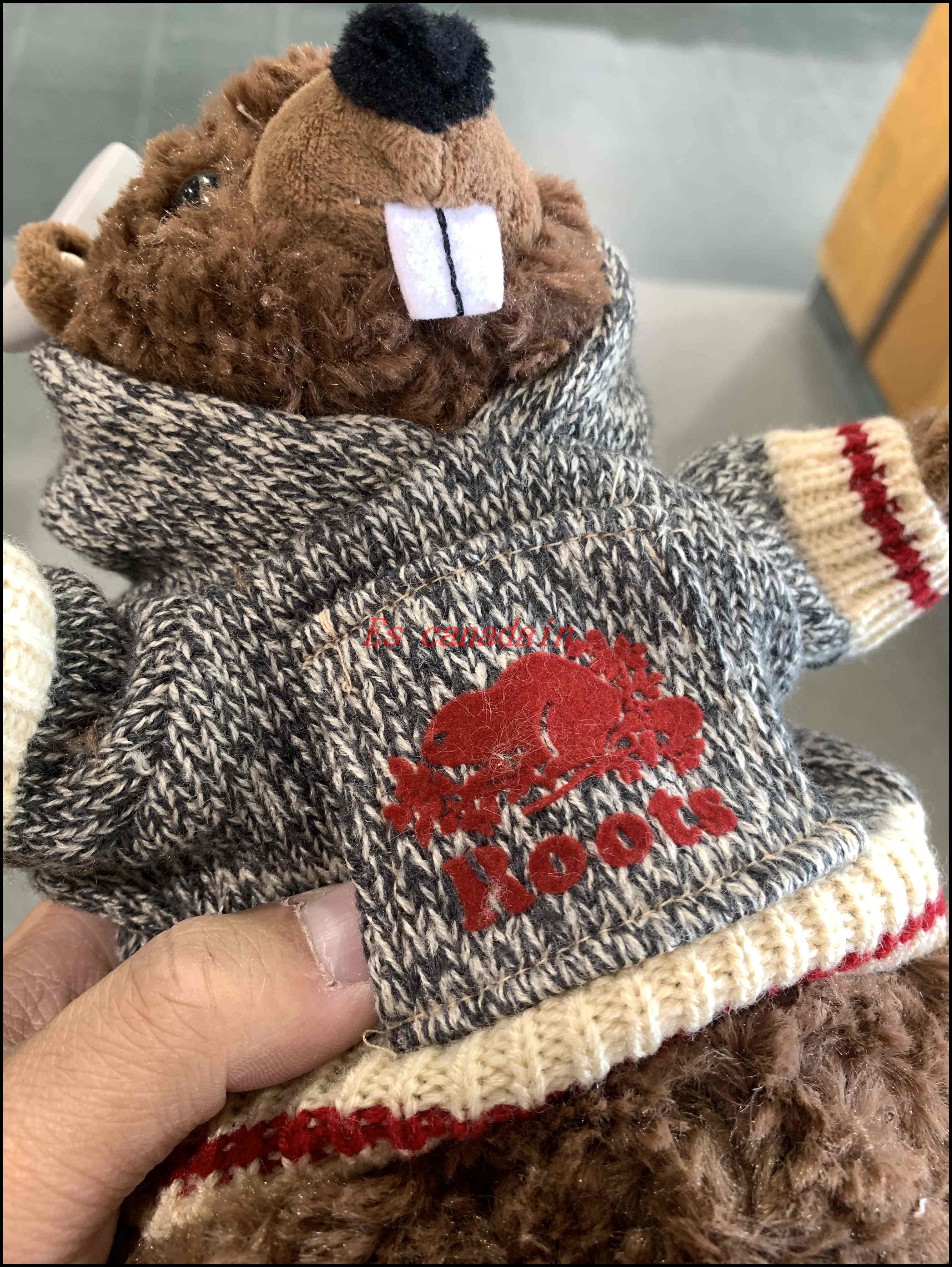 ROOTS Cabin針織毛衣 海狸寶寶