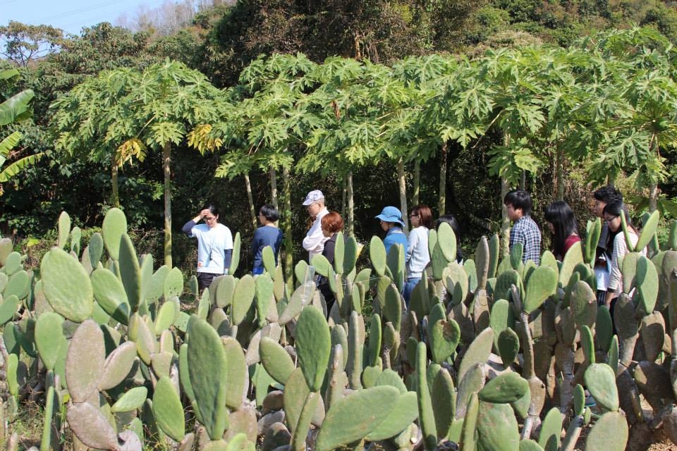 Guided Tour in the Farm 農莊導賞