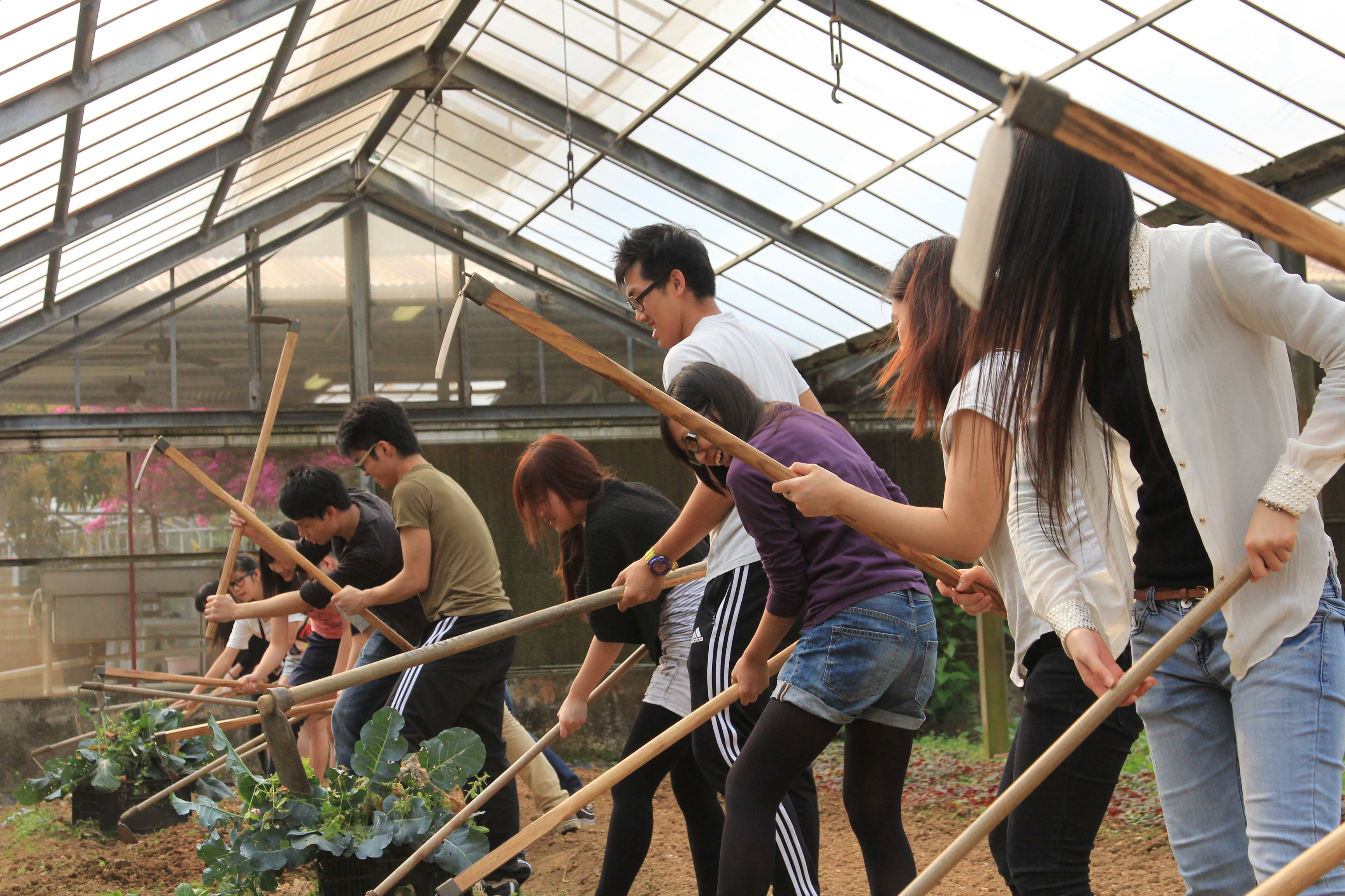 Farming Experience 農耕體驗