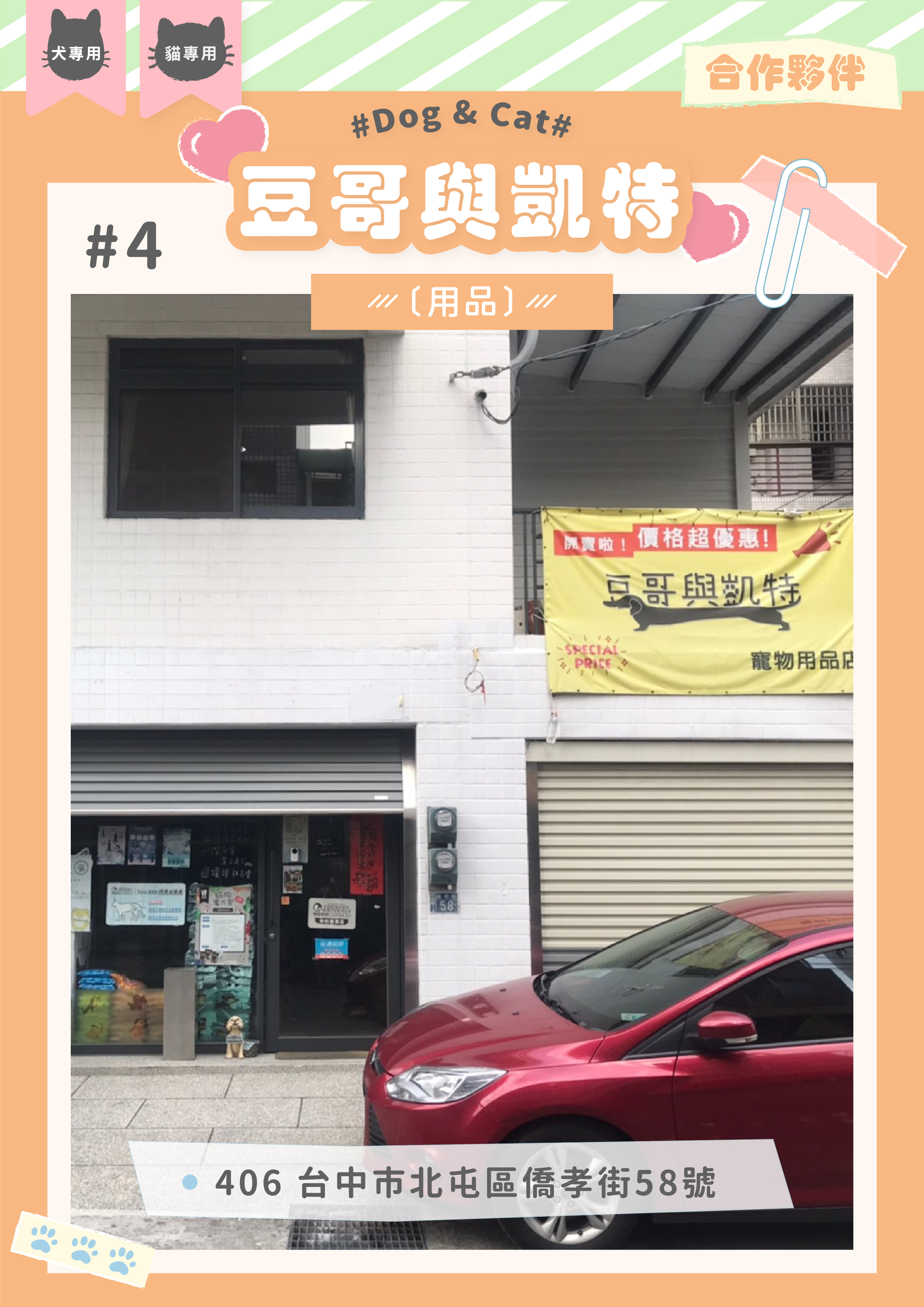 瑪莉洋 合作夥伴 豆哥與凱特