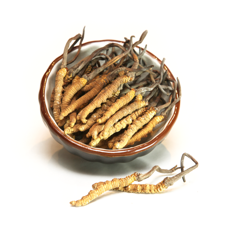 【180/220支】西藏特級皇上皇蟲草