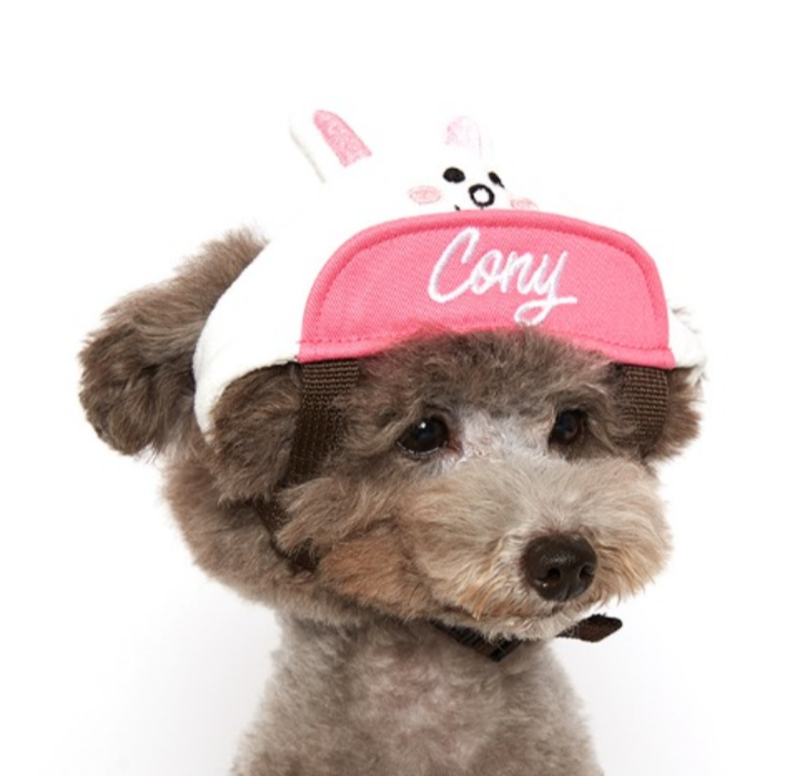 ✤ Odd Pet ✤ Line Friends 棒球帽 (兔兔)