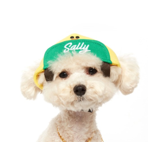 ✤ Odd Pet ✤ Line Friends 棒球帽 (莎莉)