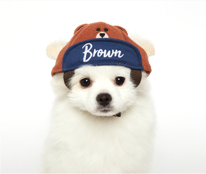 ✤ Odd Pet ✤ Line Friends 棒球帽 (熊大)