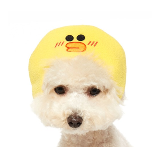 ✤ Odd Pet ✤ Line Friends 變身頭套 (莎莉)