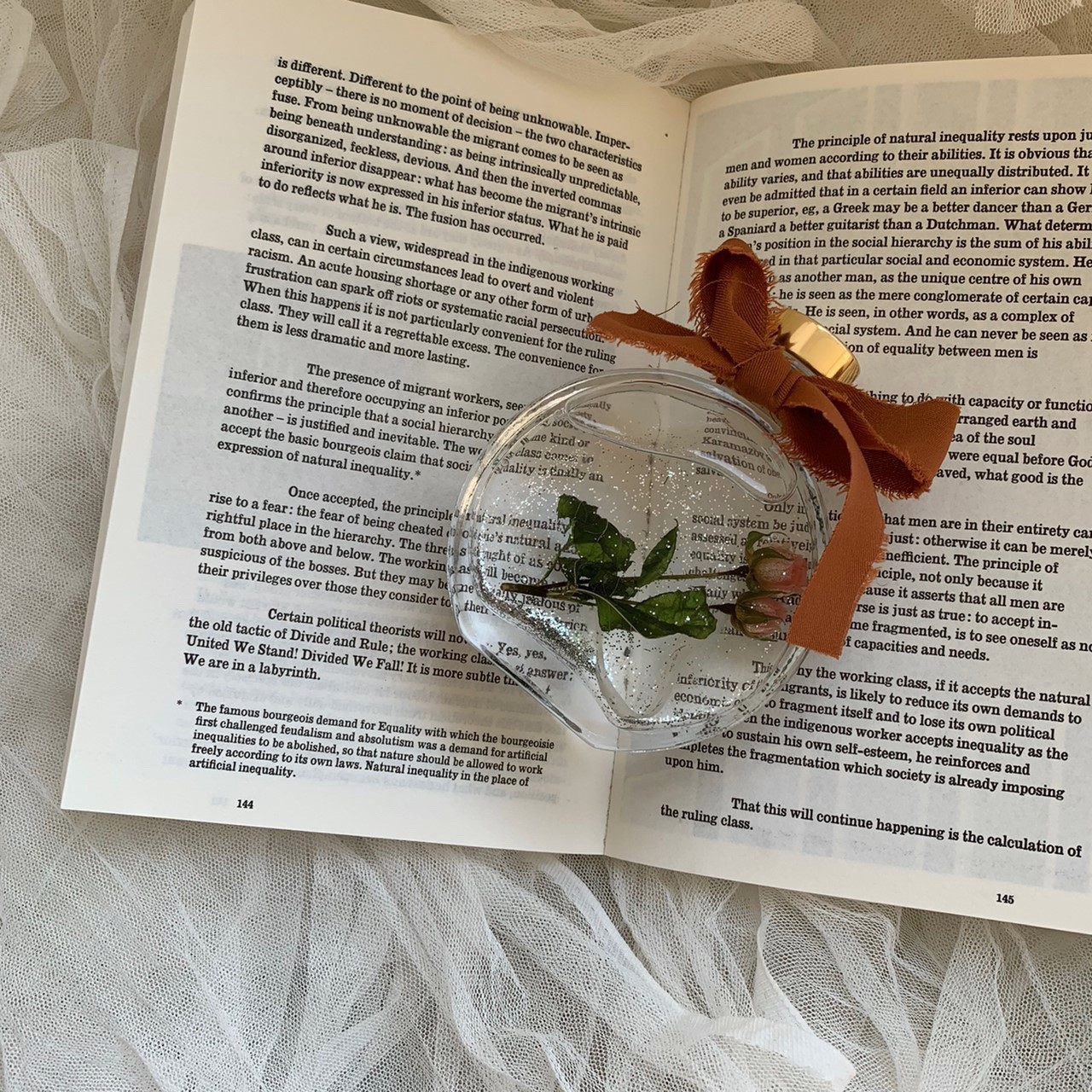 浮游花-一枝玫瑰