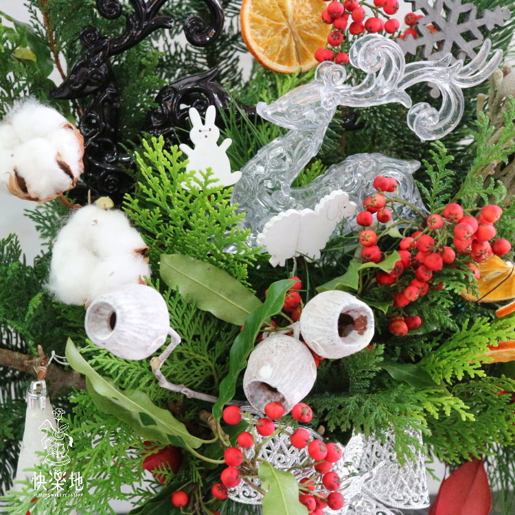 森林讚美詩 I 聖誕盆花   XM191400