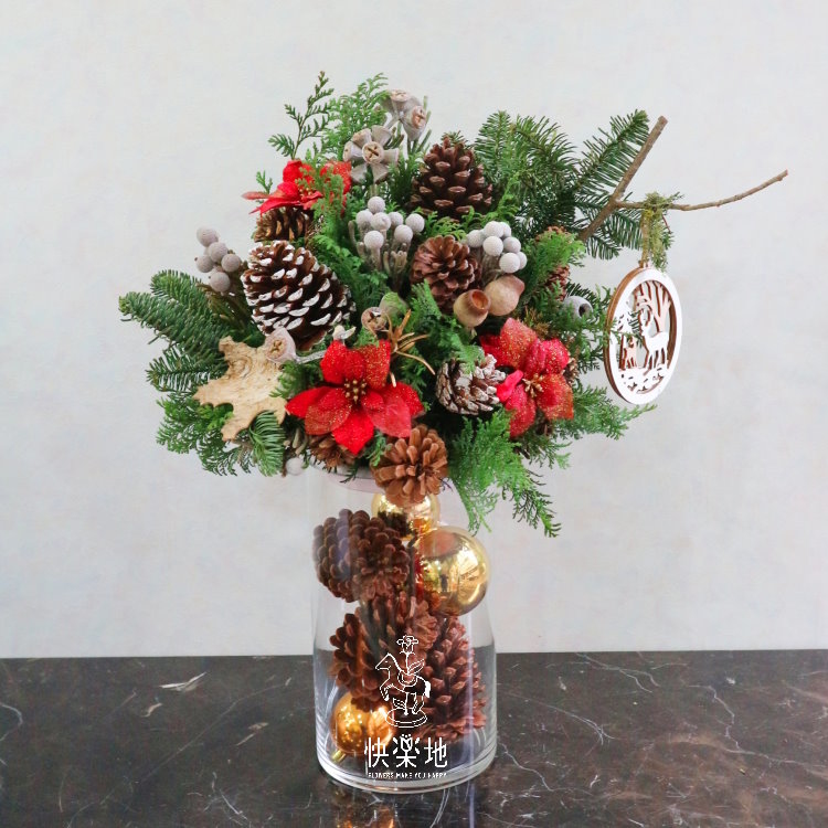 耶誕禮讚 I 聖誕節盆花  XM191302