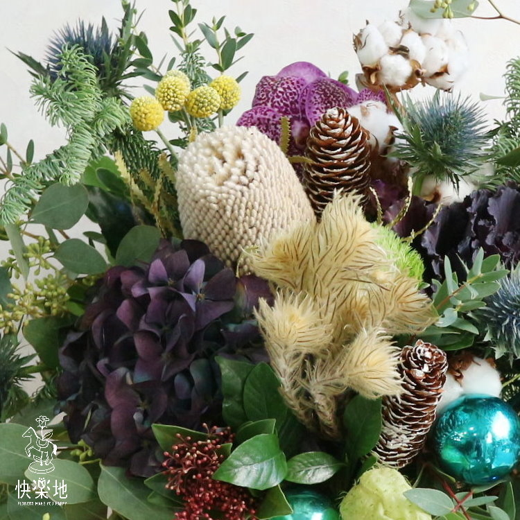 夢幻樂園   XM191500