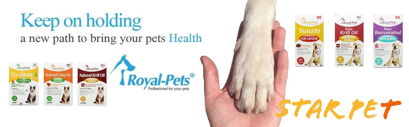 royal pets,pet supplement,寵物養生,寵物保健品,拉先,貓泌尿,狗關節,貓保健品,狗保健品,貓咪,寵物用品,狗狗營養,貓咪營養,feline,canine,cat,dog,online pet shop,star pet