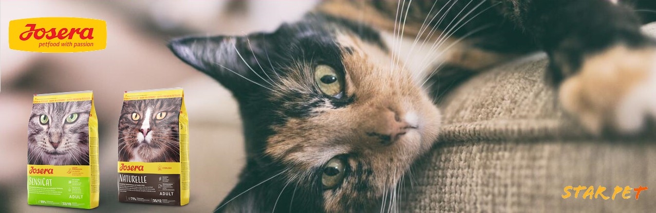 josera貓糧,josera cat food,貓咪,寵物,貓糧品牌,貓糧邊隻好,貓糧推薦,貓糧最好,貓糧最便,天然貓糧,無穀物貓糧,貓乾糧,脫水貓糧,feline,cat,online pet shop,cat food,cat dry food