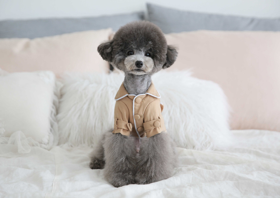 ♣️ Toto & Roy ♣️ Like You蝴蝶結風衣