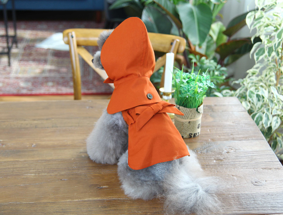 ♣️ Toto & Roy ♣️ 連帽橘紅Trench Coat風衣