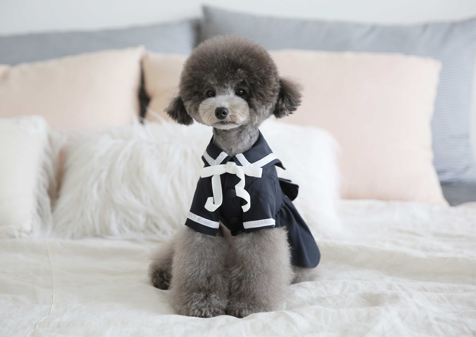 ♣️ Toto & Roy ♣️ 水手服洋裝