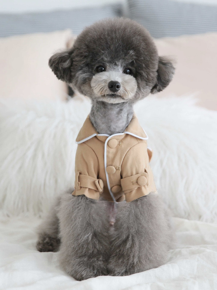 ♣️ Toto & Roy ♣️ Like You蝴蝶結風衣