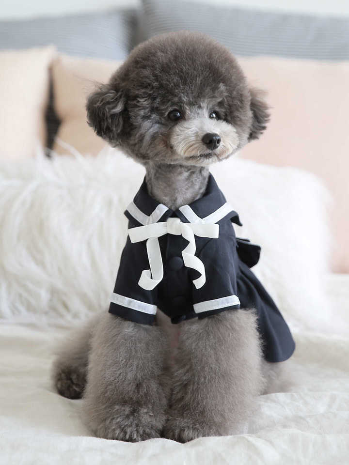 ♣️ Toto & Roy ♣️ 水手服洋裝