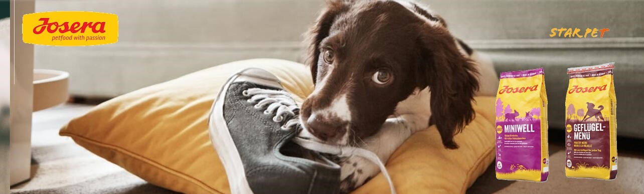 Josera狗糧,狗狗,寵物,推薦,最好,最便,狗糧,狗罐頭,天然狗糧,狗玩具,狗清潔,狗零食,狗濕糧,狗乾糧,脫水狗糧,狗小食,狗玩具,canine,dog,pet,online pet,pet shop,dog food,dog dry food