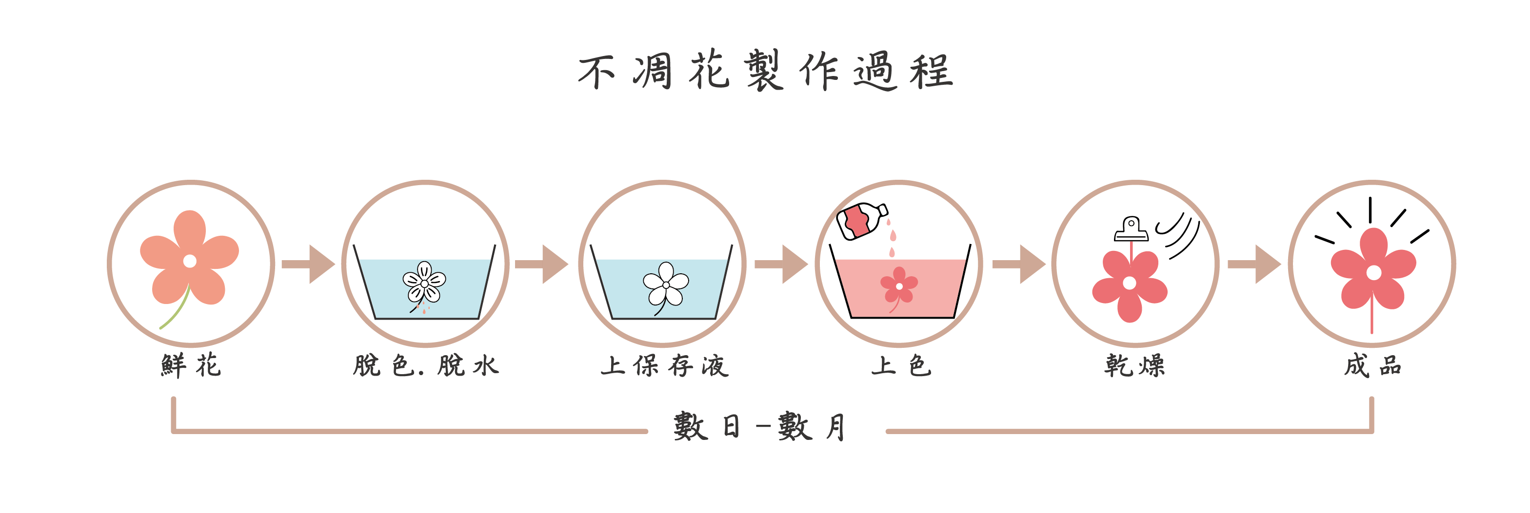 小薇花藝工坊SWFLORIST不凋花製作過程