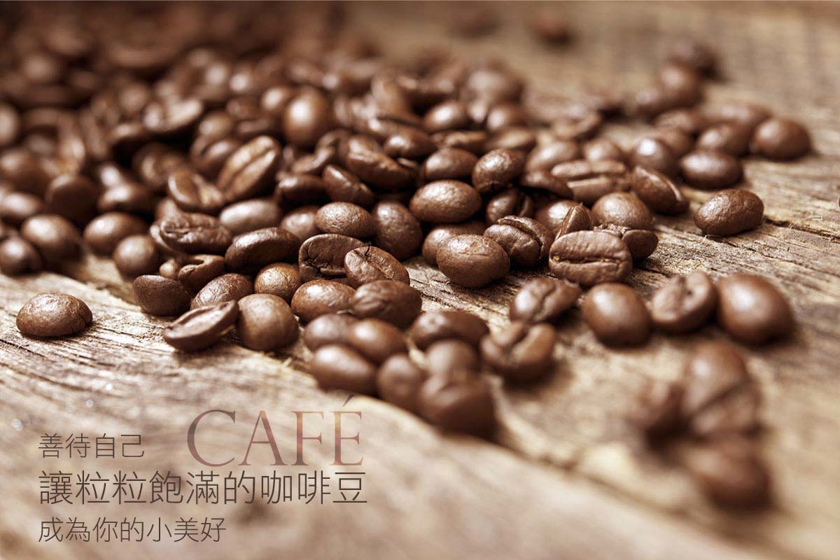 阿拉比卡咖啡豆，人工挑豆，中深烘焙咖啡豆｜咖啡禮盒