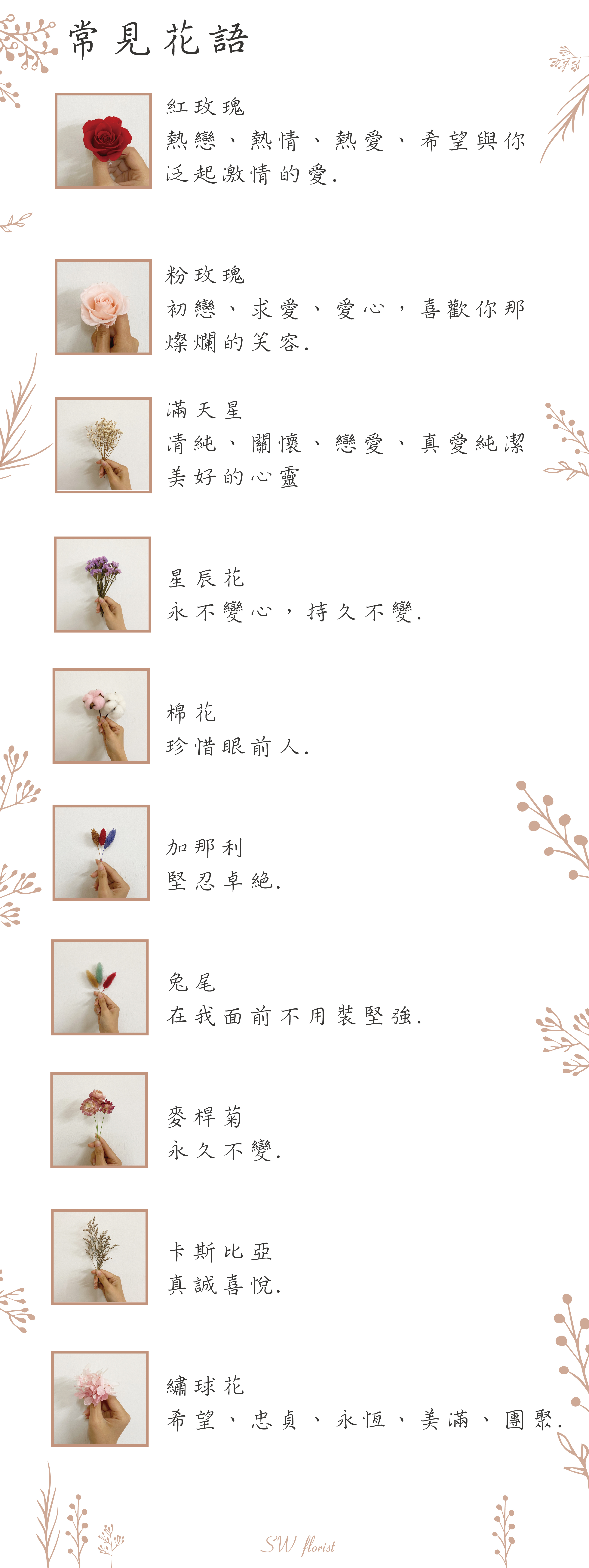 乾燥花介紹乾燥花花語