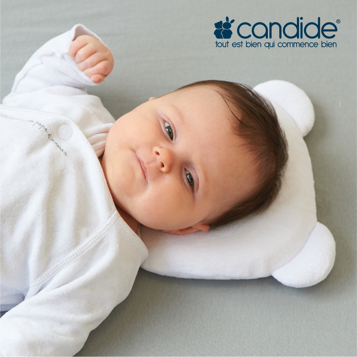 candide panda pillow