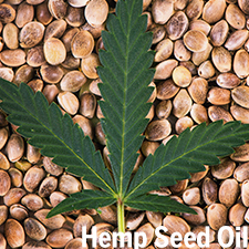 有機大麻籽油