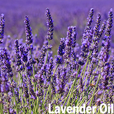 薰衣草精油
