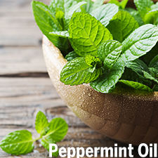 有機薄荷精油