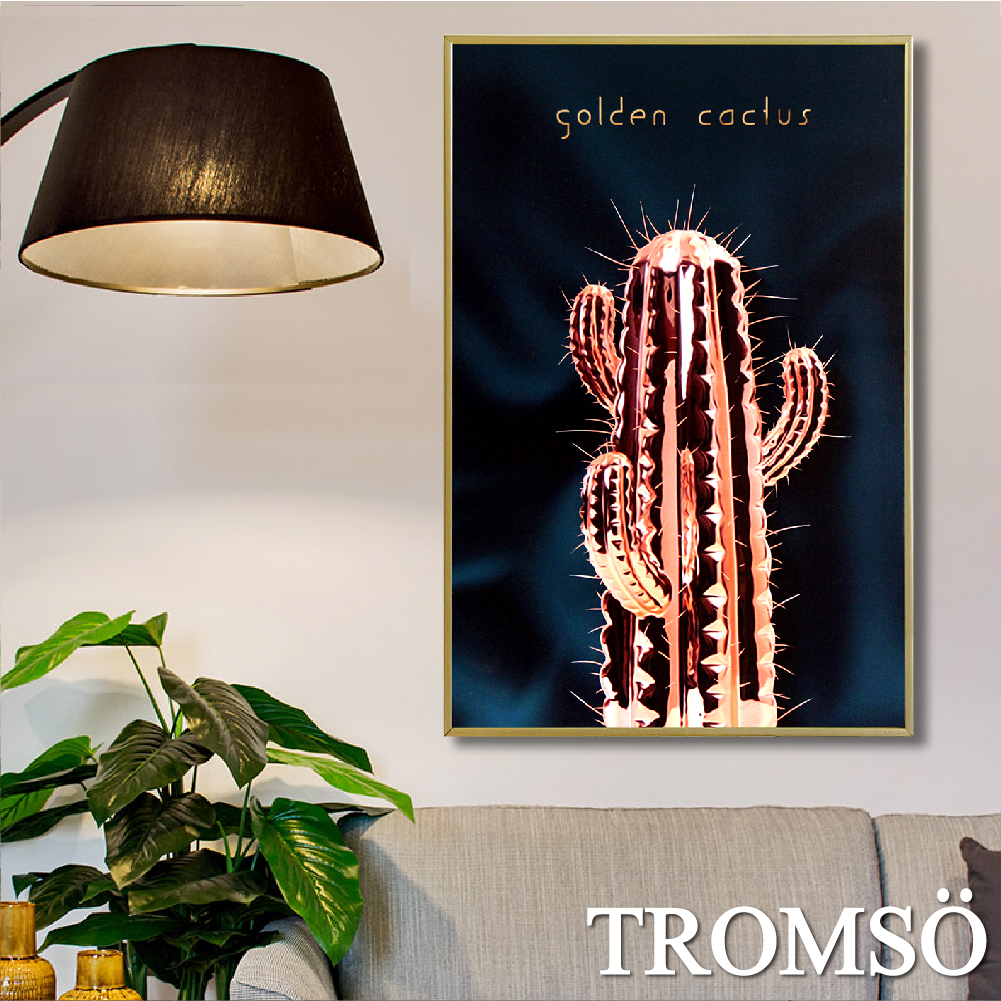 北歐時代風尚有框畫40x60-WA120鍊金夏潮