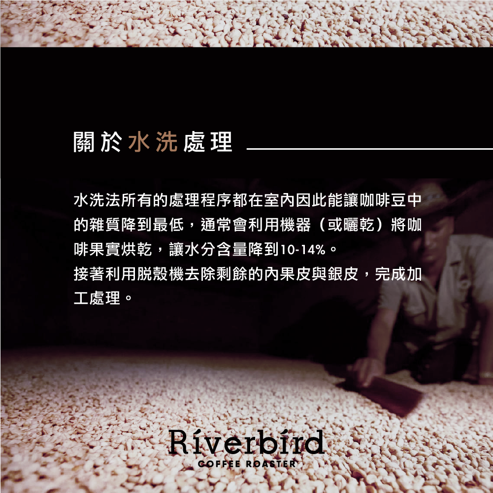 【Riverbird】《225g》巴西 皇后莊園 中焙/水洗