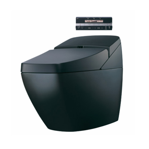 INAX DV-R115-VL-TW 智能座廁 (尊爵黑)