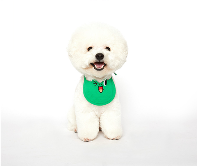 ✤ Odd Pet ✤ Line Friends 圍兜兜 (雷納德)