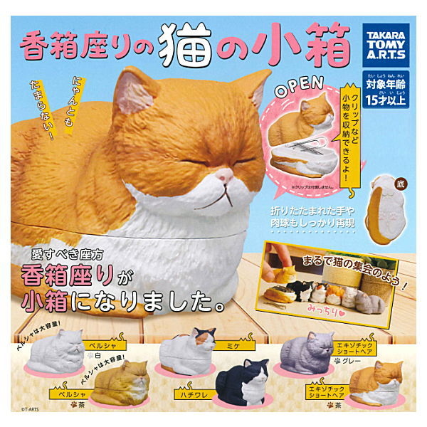 takara tomy cat