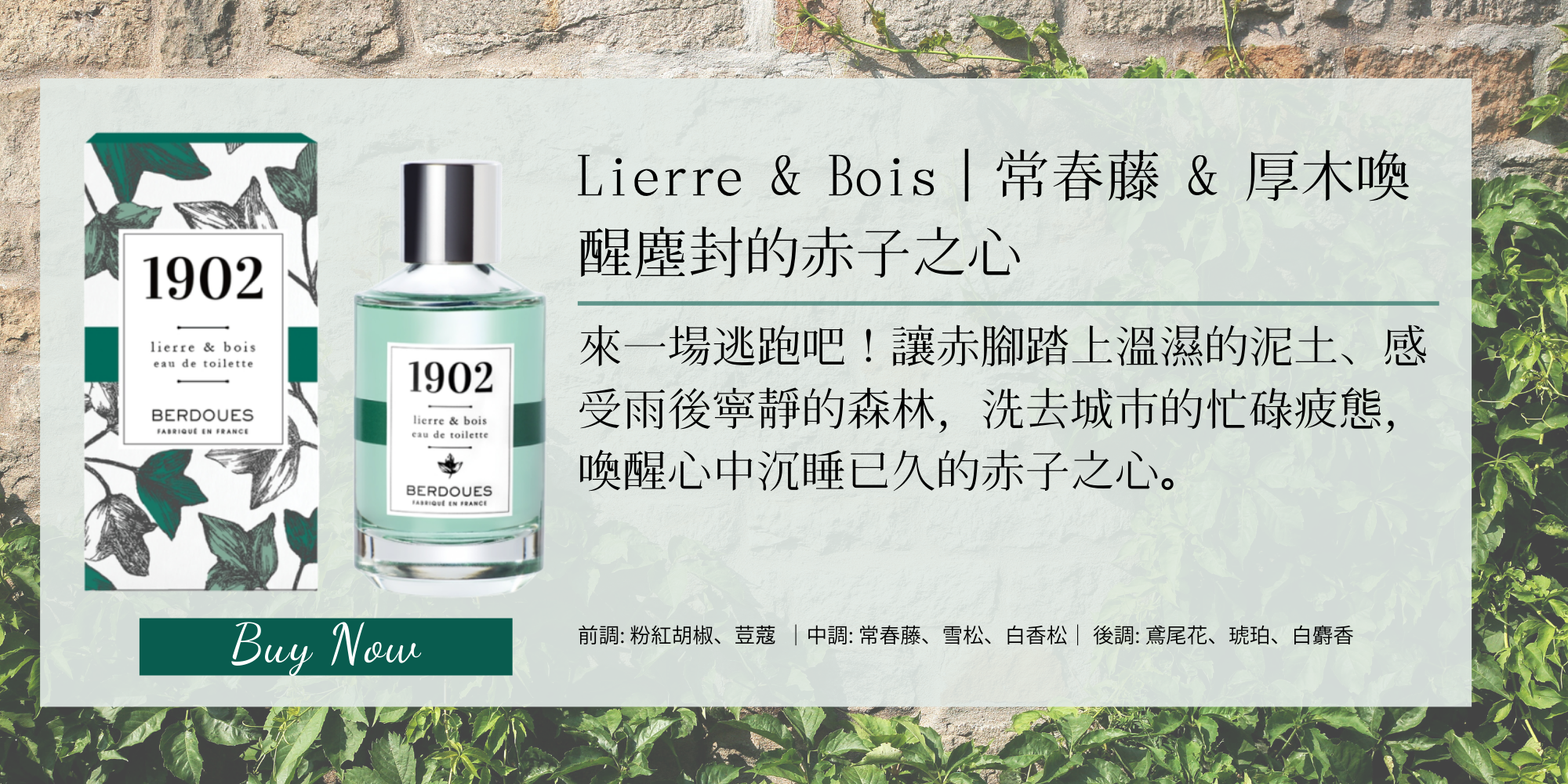 1902摩登雅致淡香水 常春藤&厚木 100ml NT$1,280