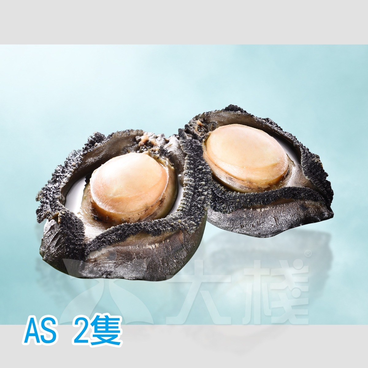 紐西蘭 熟 黑翡翠鮑魚 (一盒2隻：260克) AS- 小