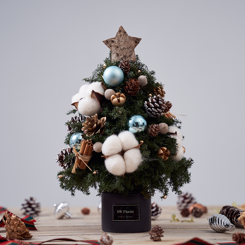 ｜聖誕節禮物 乾燥花 不凋花 聖誕樹 冬季浪漫 不凋雪松｜松毬果 藍聖誕球