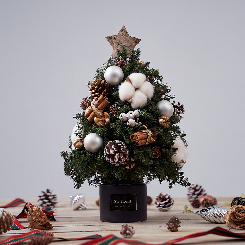 ｜聖誕節禮物 乾燥花 不凋花 聖誕樹 冬季浪漫 不凋雪松｜松毬果 銀聖誕球