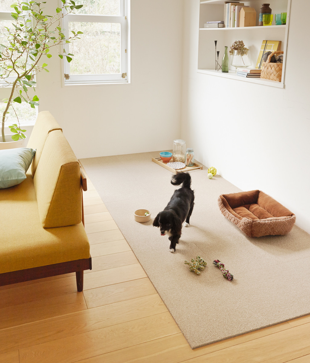 TOLI防滑地墊/地毯