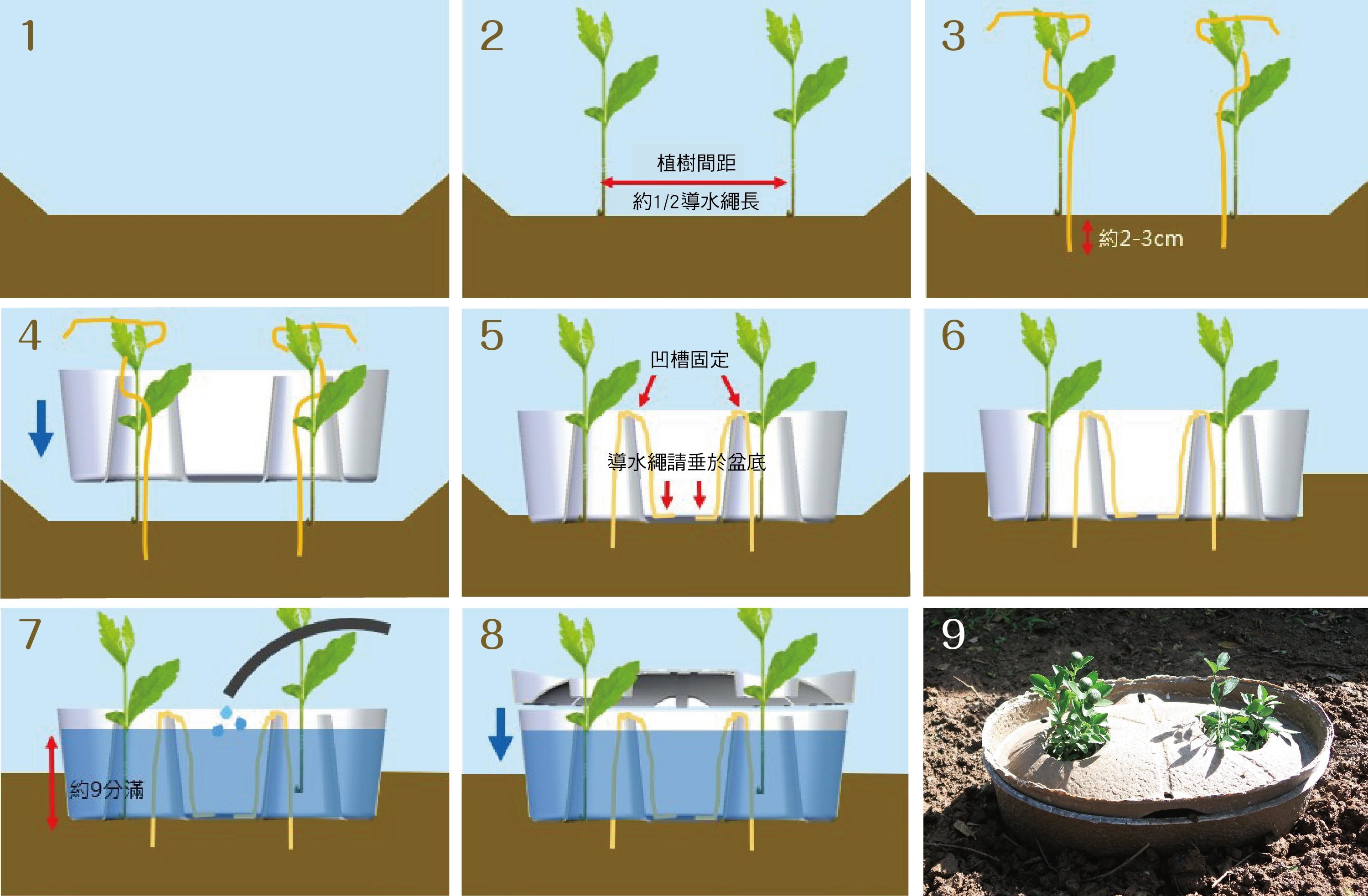 「水源寶」植樹簡單八步驟