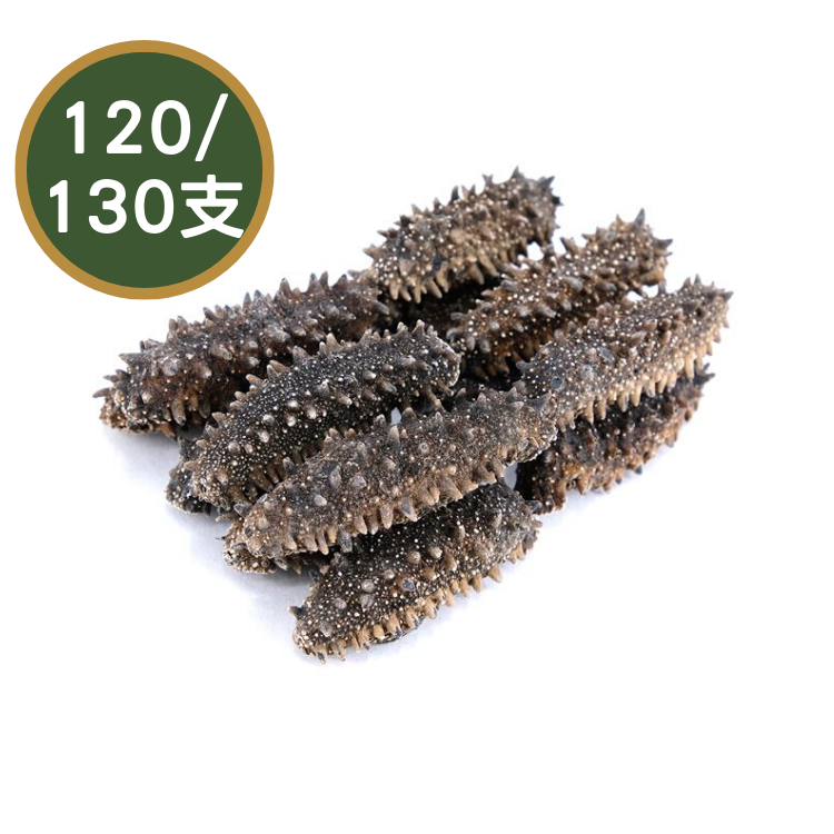 【120/130支】日本北海道刺參