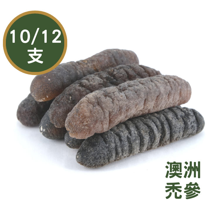 【10/20支】澳洲禿參