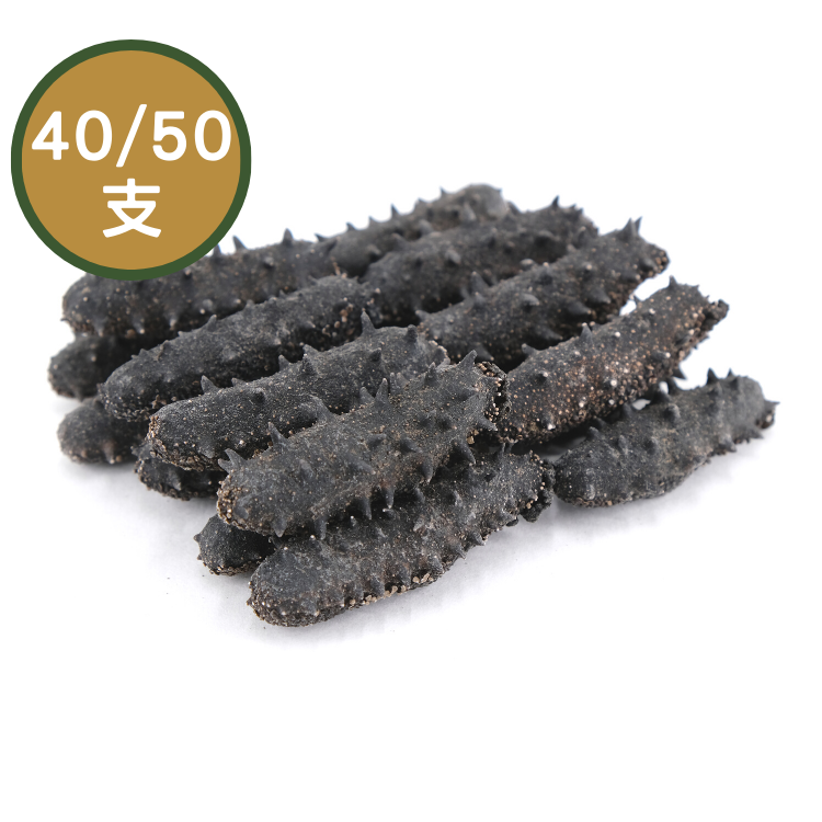 【40/50支】日本關東刺參