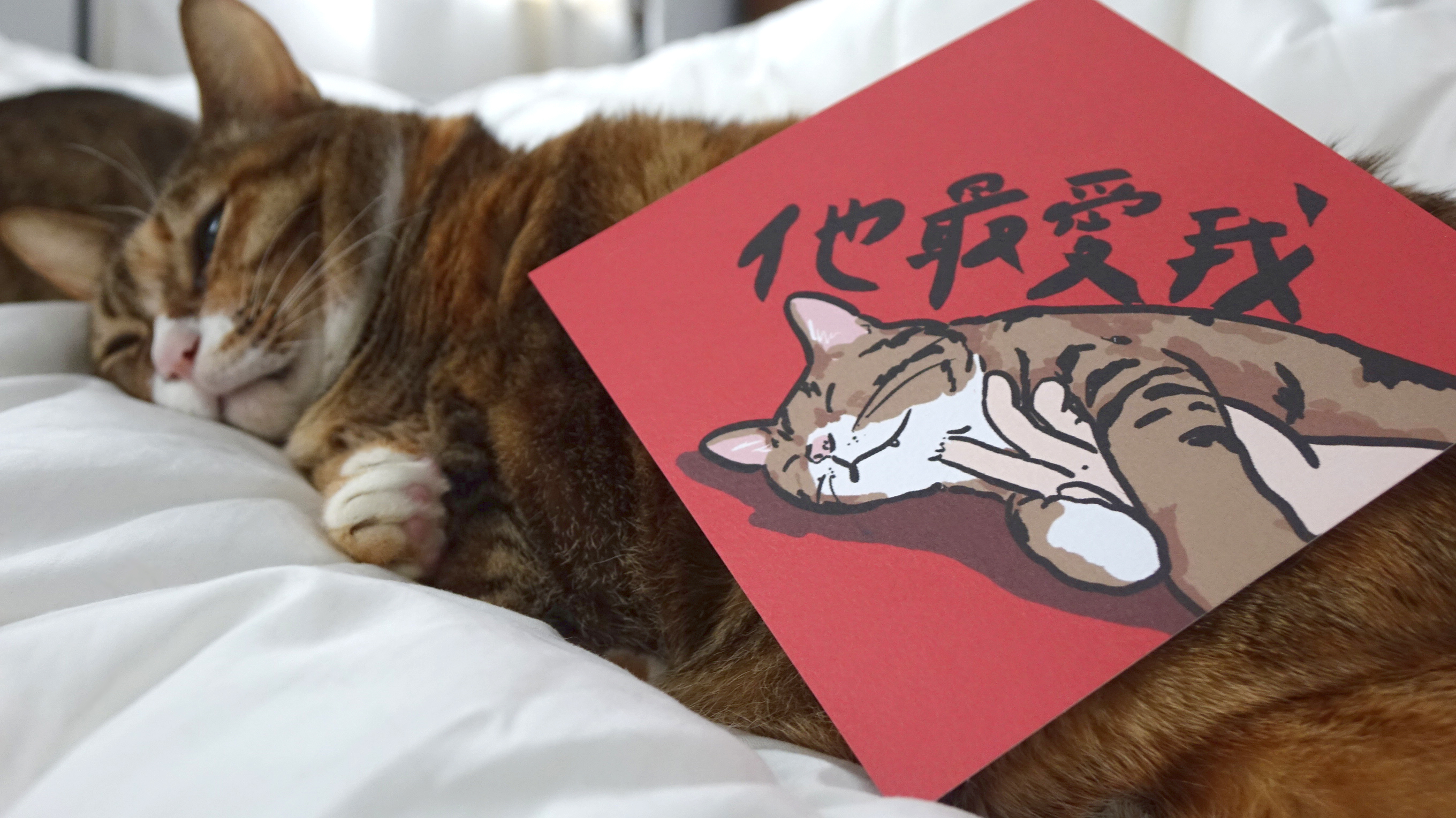 他最愛我春聯 揮春