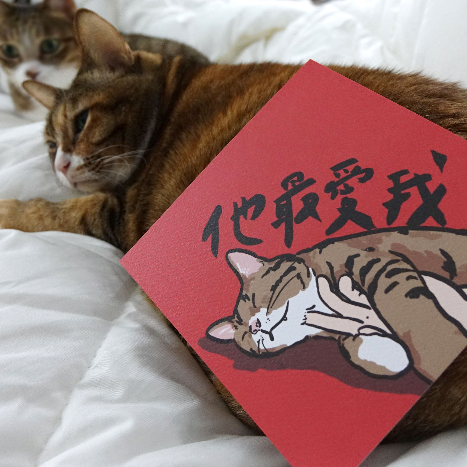他最愛我春聯 揮春