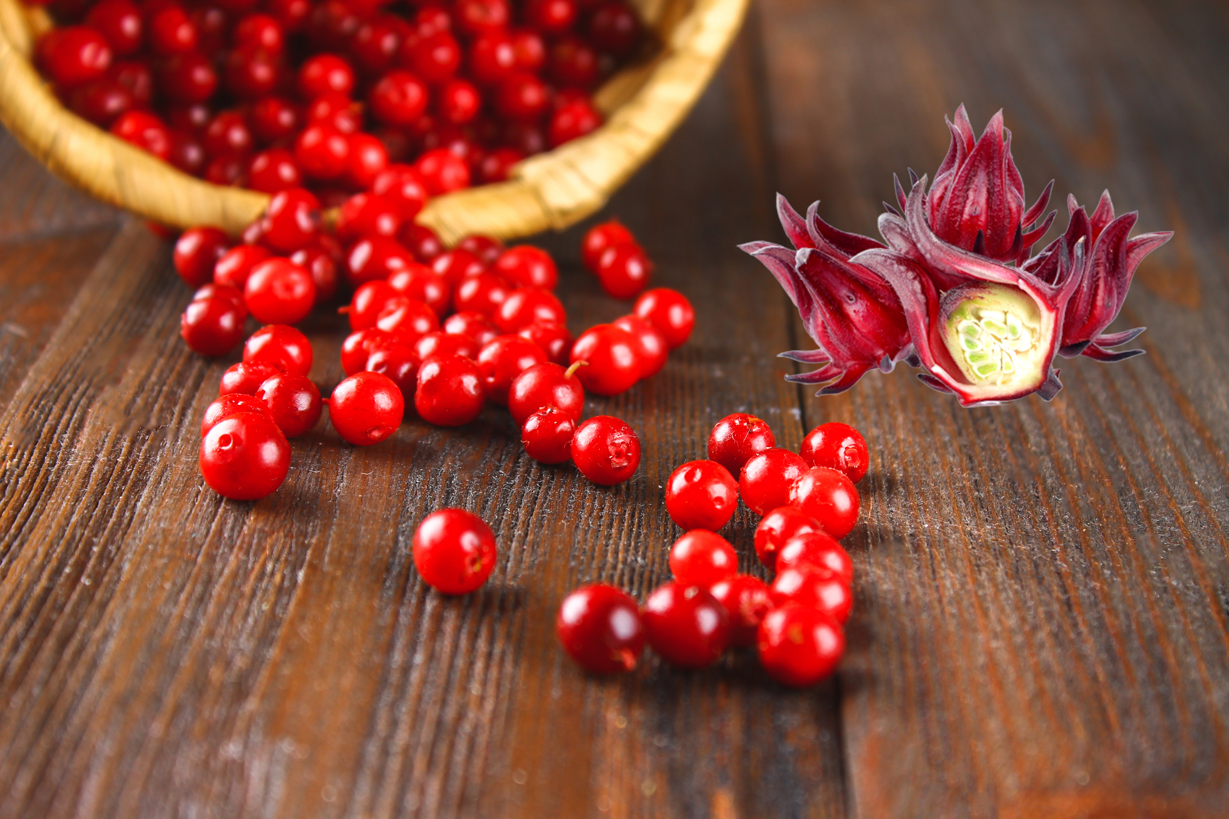 蔓越莓及洛神花萃取